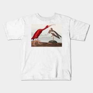 Bird of America  Bird, bird lover, america, beautiful  Public domain painting by John James Audubon Kids T-Shirt